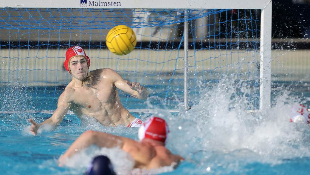 Zvezda dobila Novi Beograd Dejan Savić na klupi foto