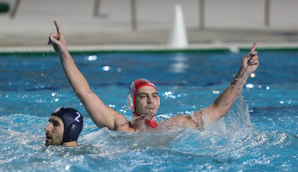 crvena zvezda novi beograd-4.jpg