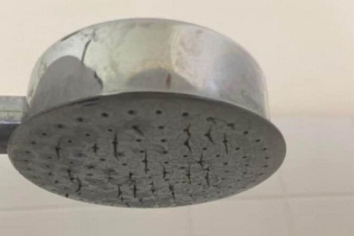 Crvići vire iz tuša