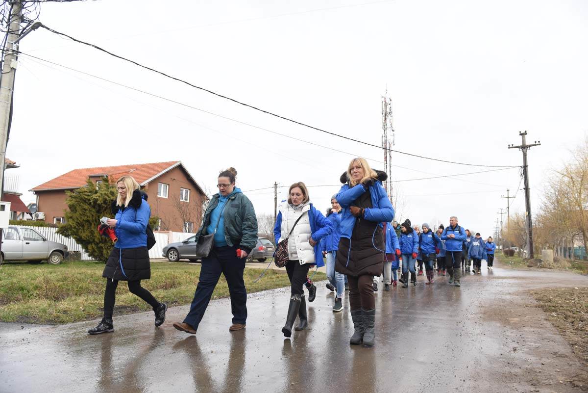 Surčin 5.000 sadnica hrasta zahvaljujući zajedničkoj akciji zaposlenih