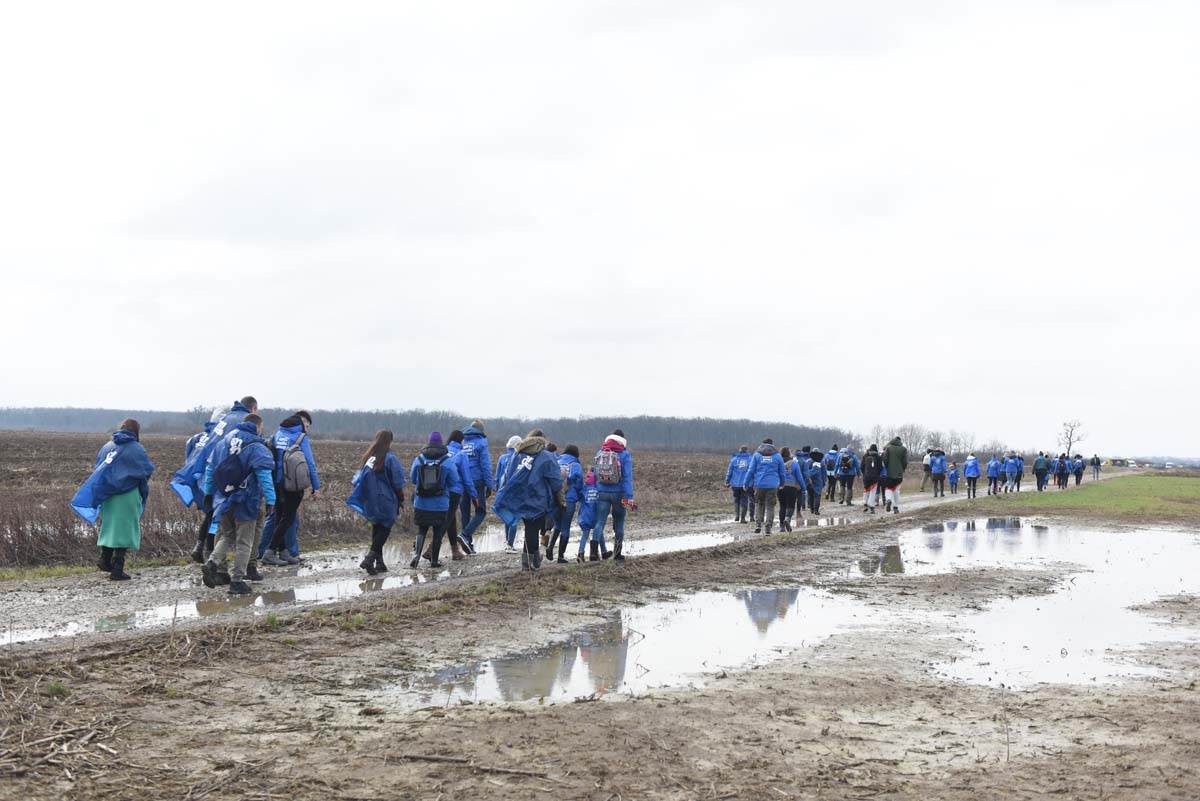 Surčin 5.000 sadnica hrasta zahvaljujući zajedničkoj akciji zaposlenih
