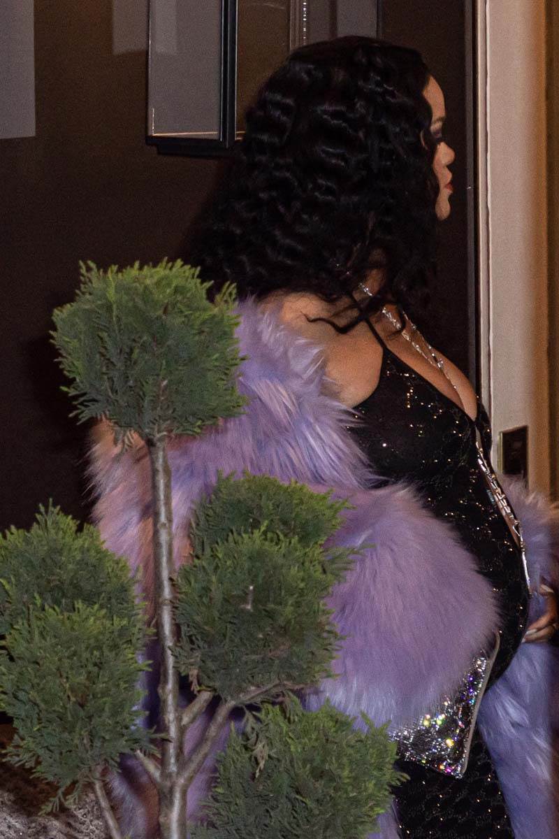 Rijana trudnička haljina (4).jpg