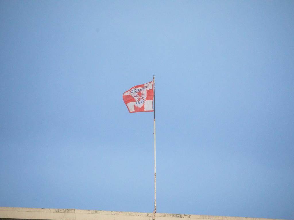 barjak delije uroš arsić 24.jpeg