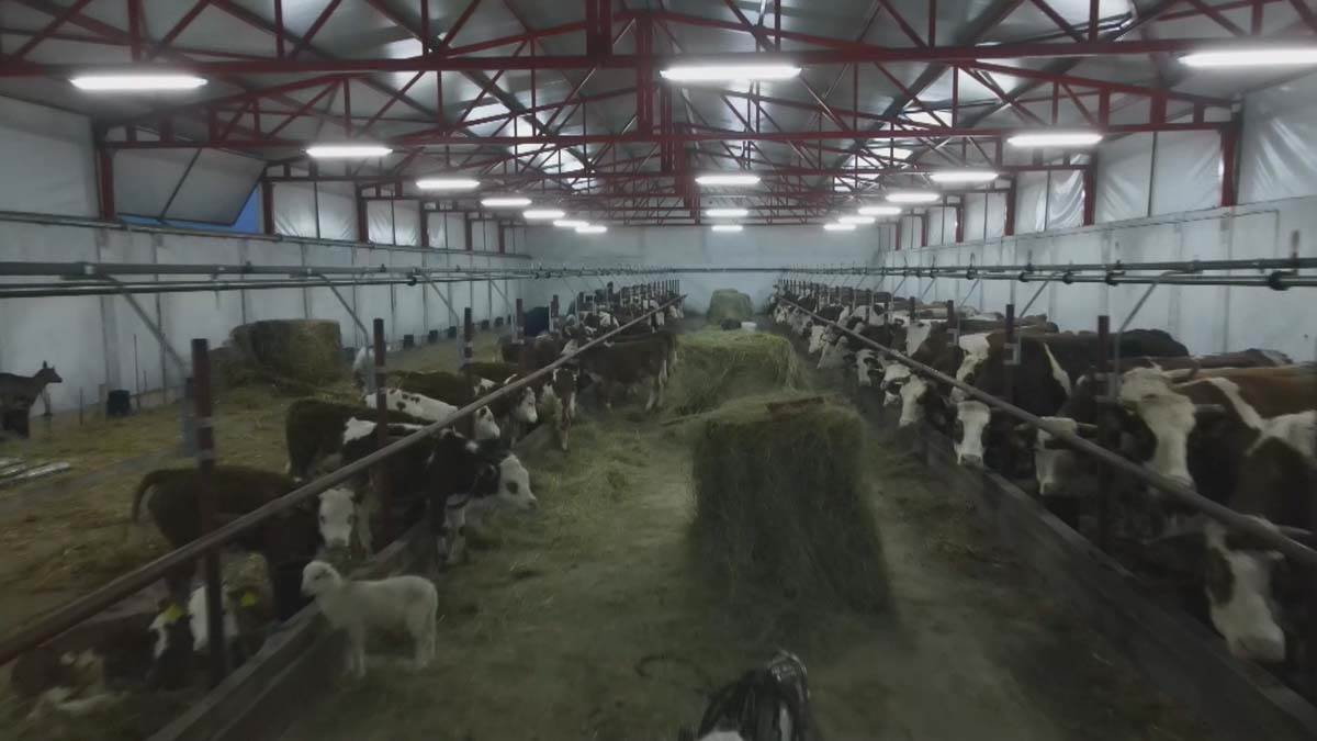 Poljoprivrednik (5).jpg