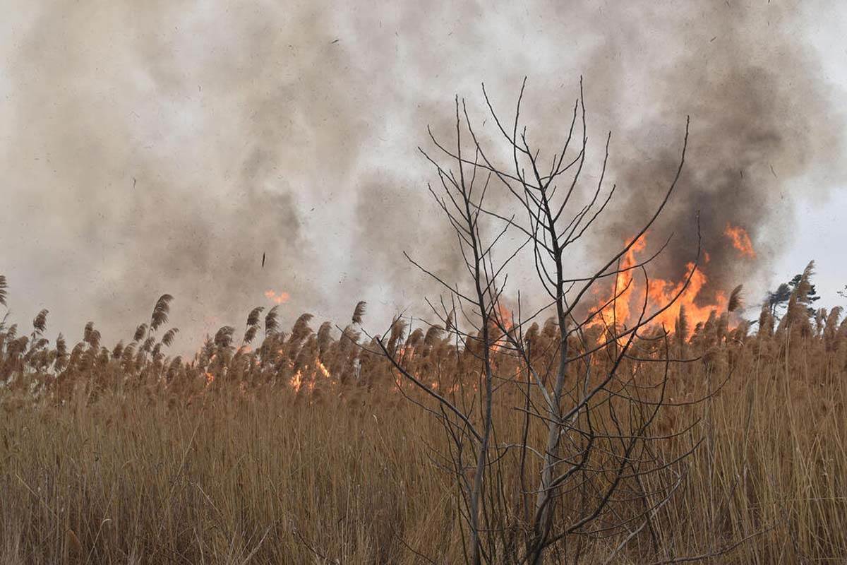 Saobraćajna nesreća kod Kikinde