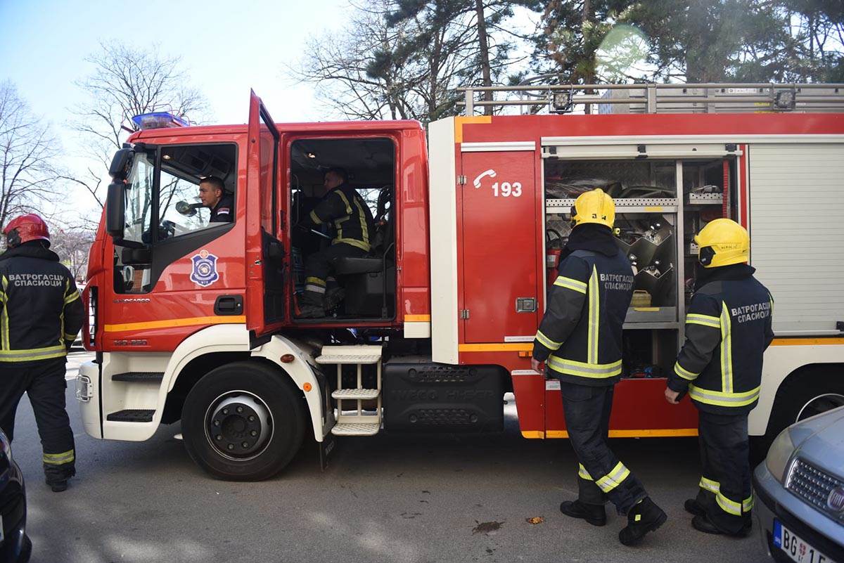 WhatsApp Image 2022-03-14 at 14.42.11.jpg