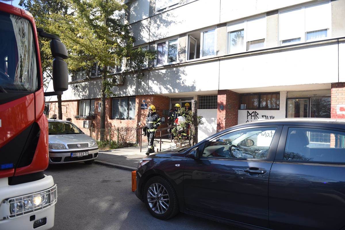 WhatsApp Image 2022-03-14 at 14.42.12.jpg