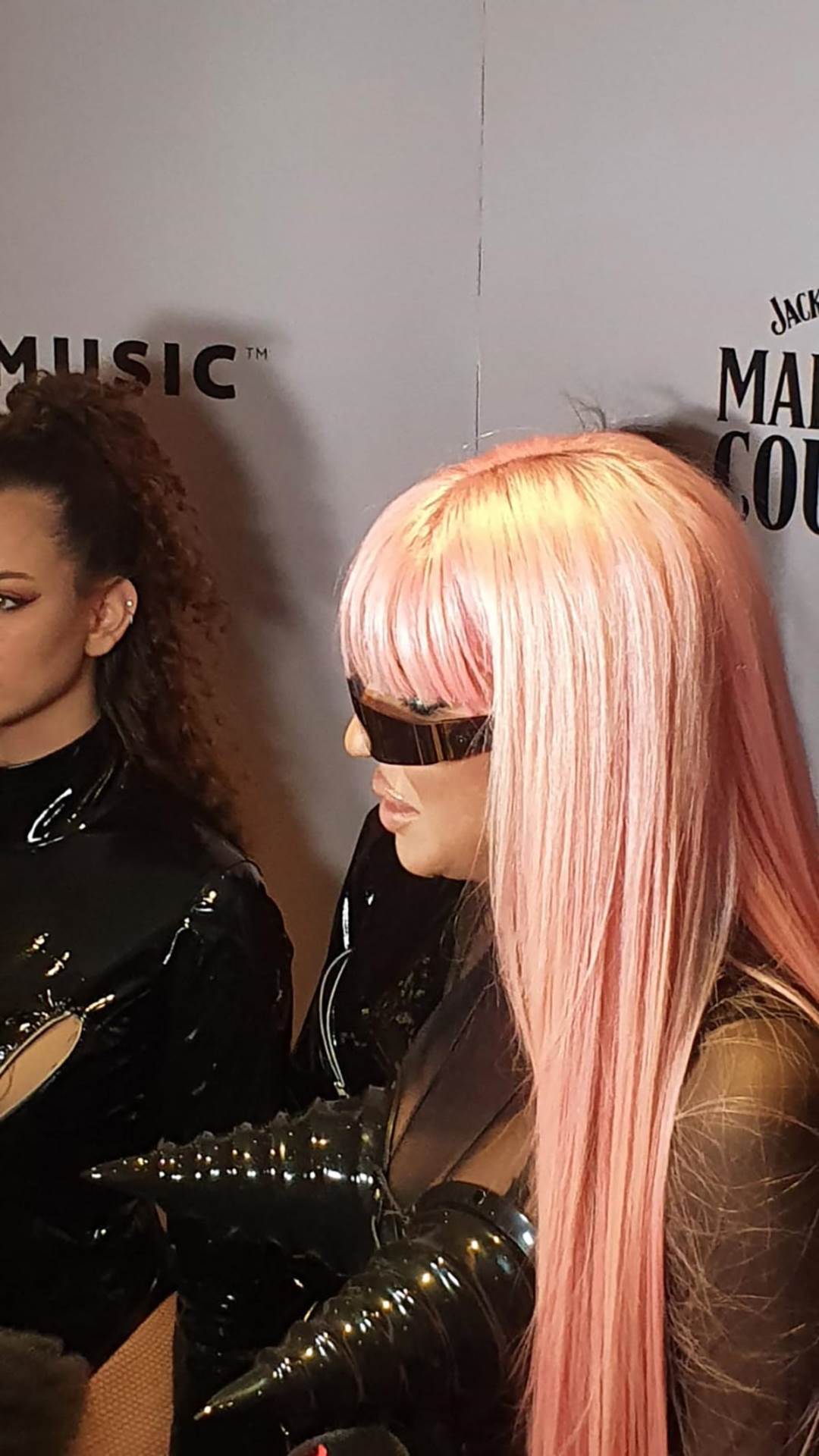 Jelena Karleuša (1).jpg