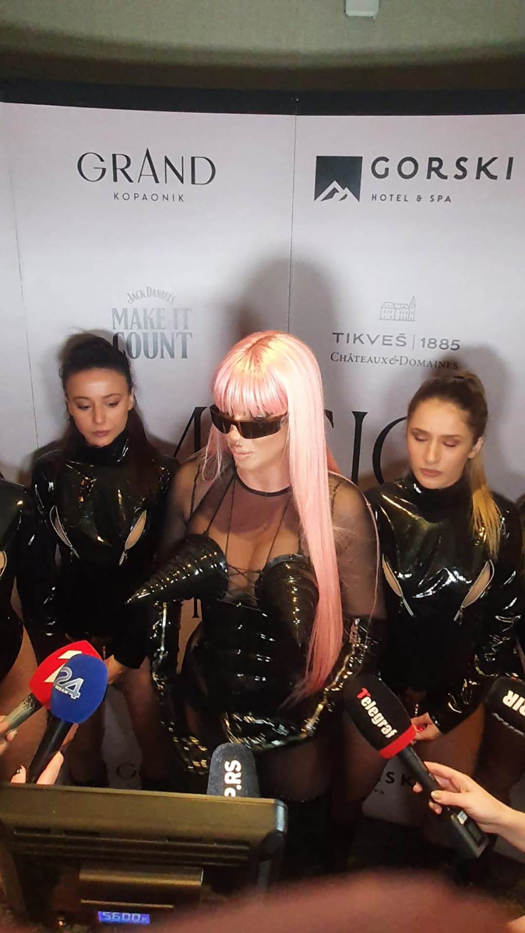 Jelena Karleuša (4).jpg