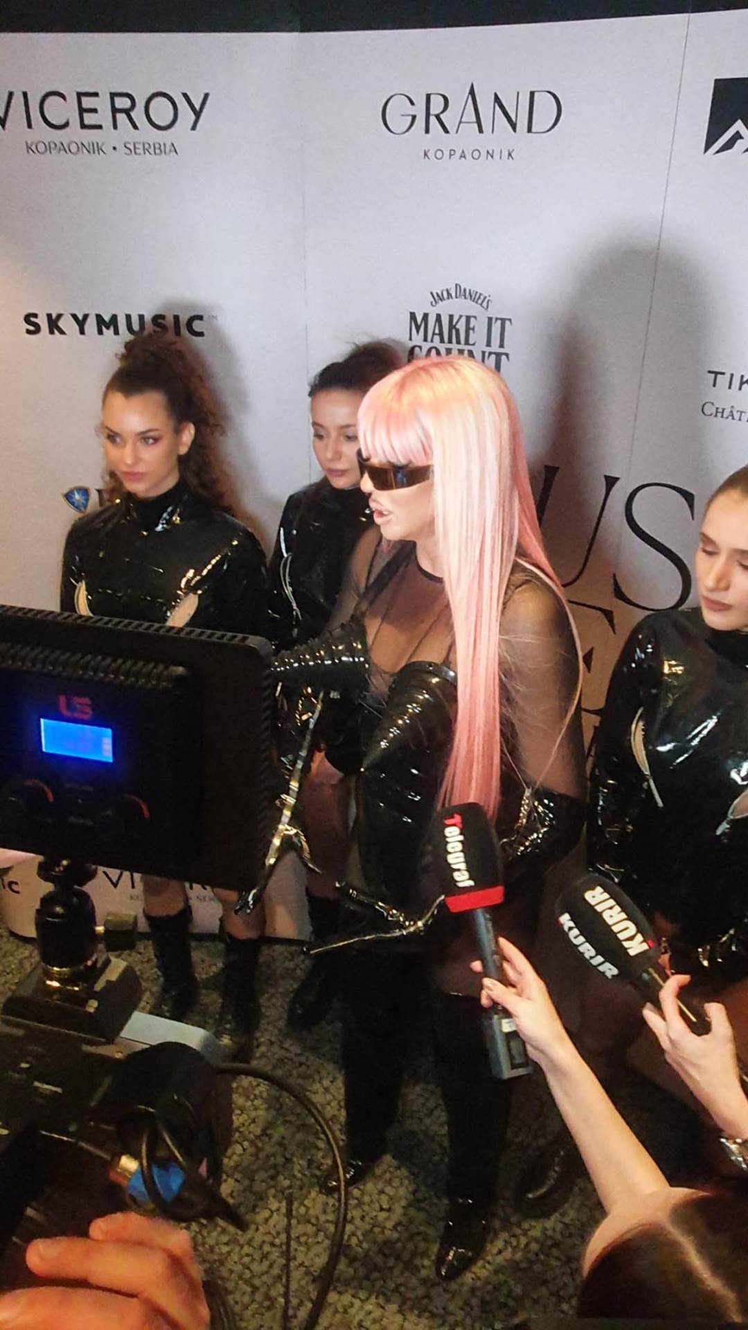 Jelena Karleuša (9).jpg