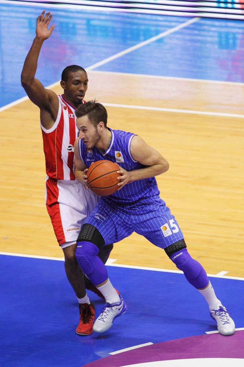 Vladimir Mihailović  (11).jpg