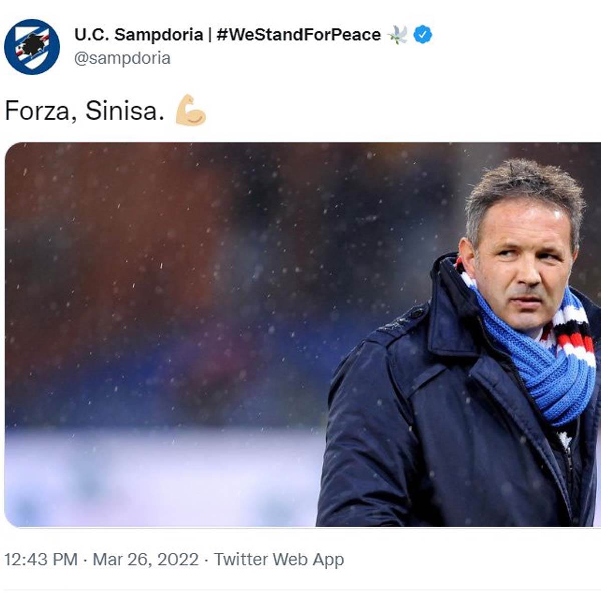 Siniša Mihajlović  (3).jpg