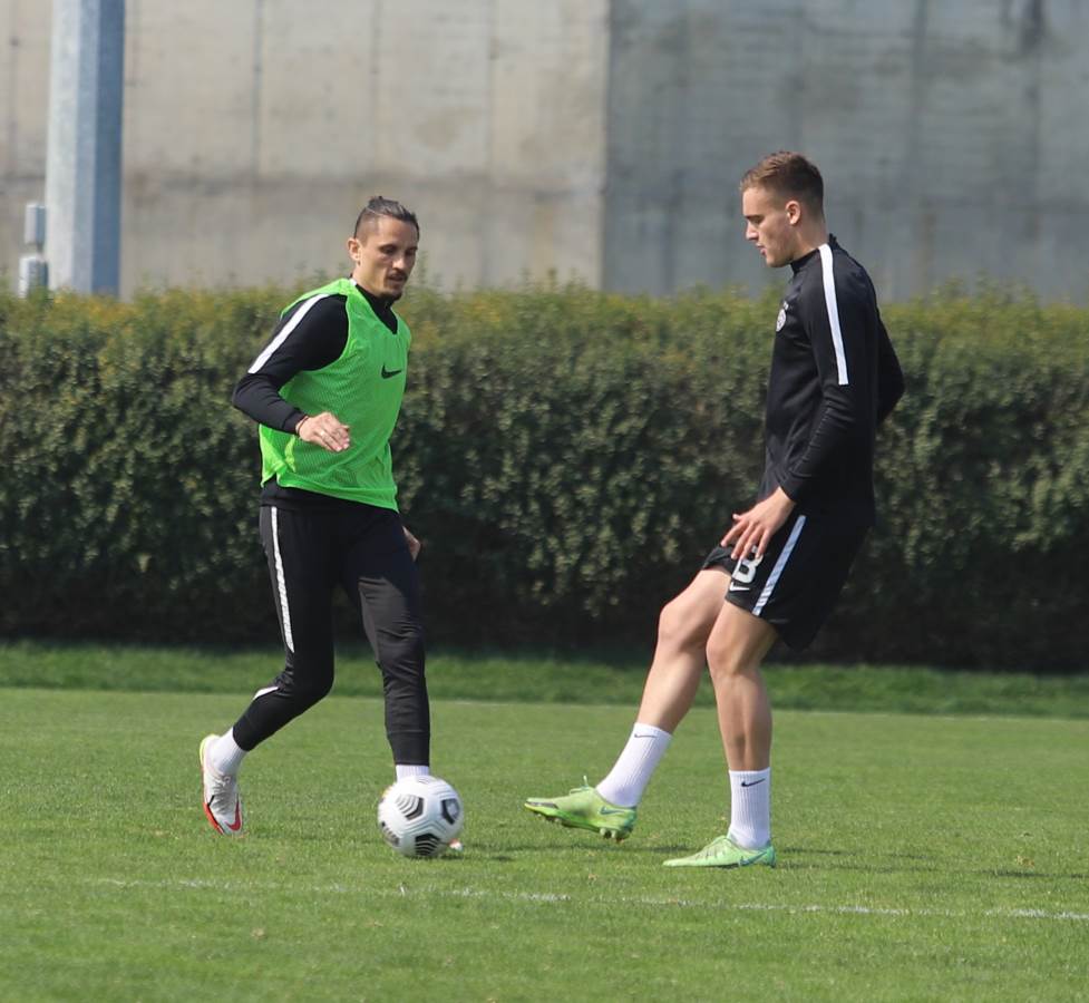 Ljubomir Fejsa i Marko Milovanović 1.jpg