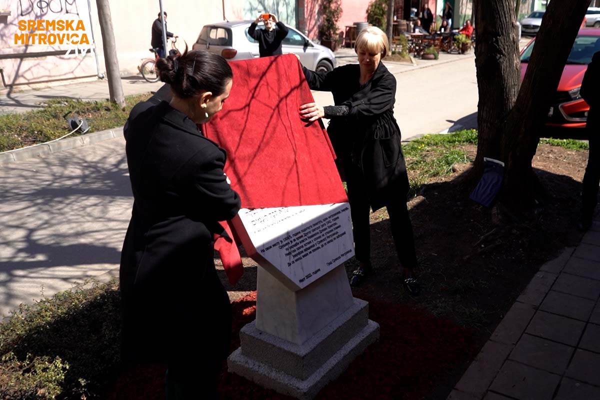 Sremska Mitrovica spomenik  (2).jpg