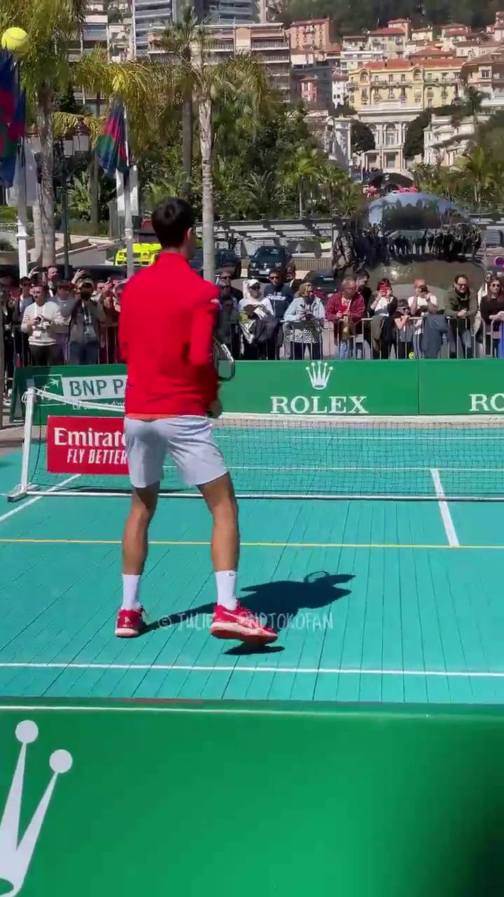 Novak đoković (2).png