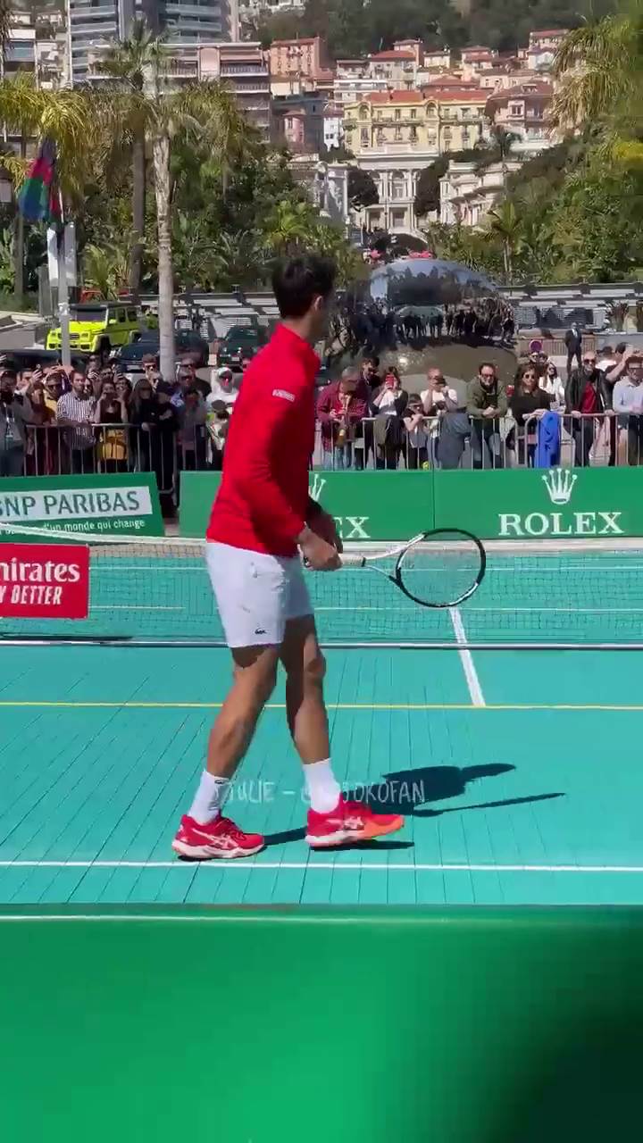 Novak đoković (8).png