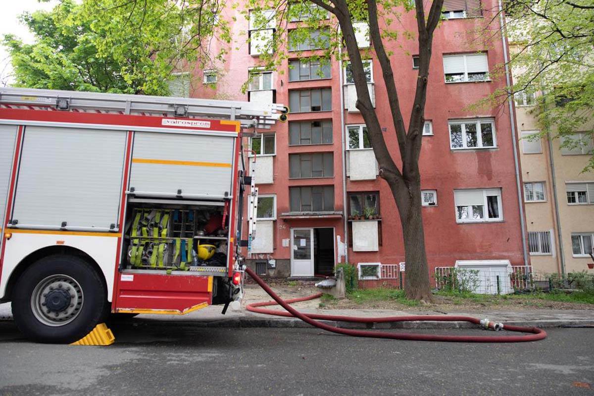 Živojin Krstić, Požar (1).jpg