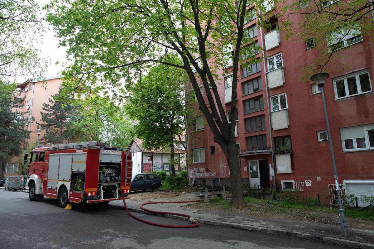 Živojin Krstić, Požar (7).jpg