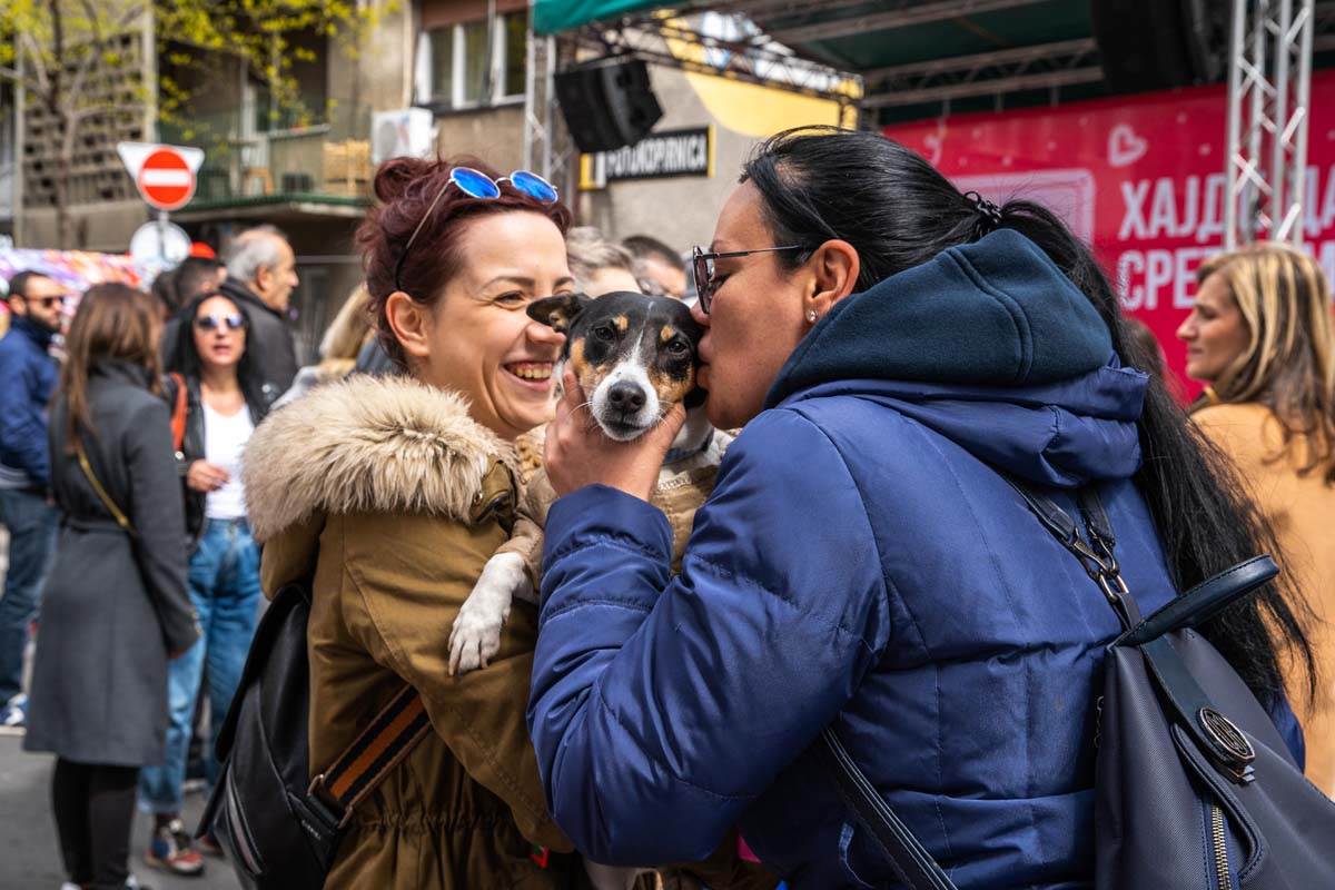 Jevremova ulica  (13).jpg