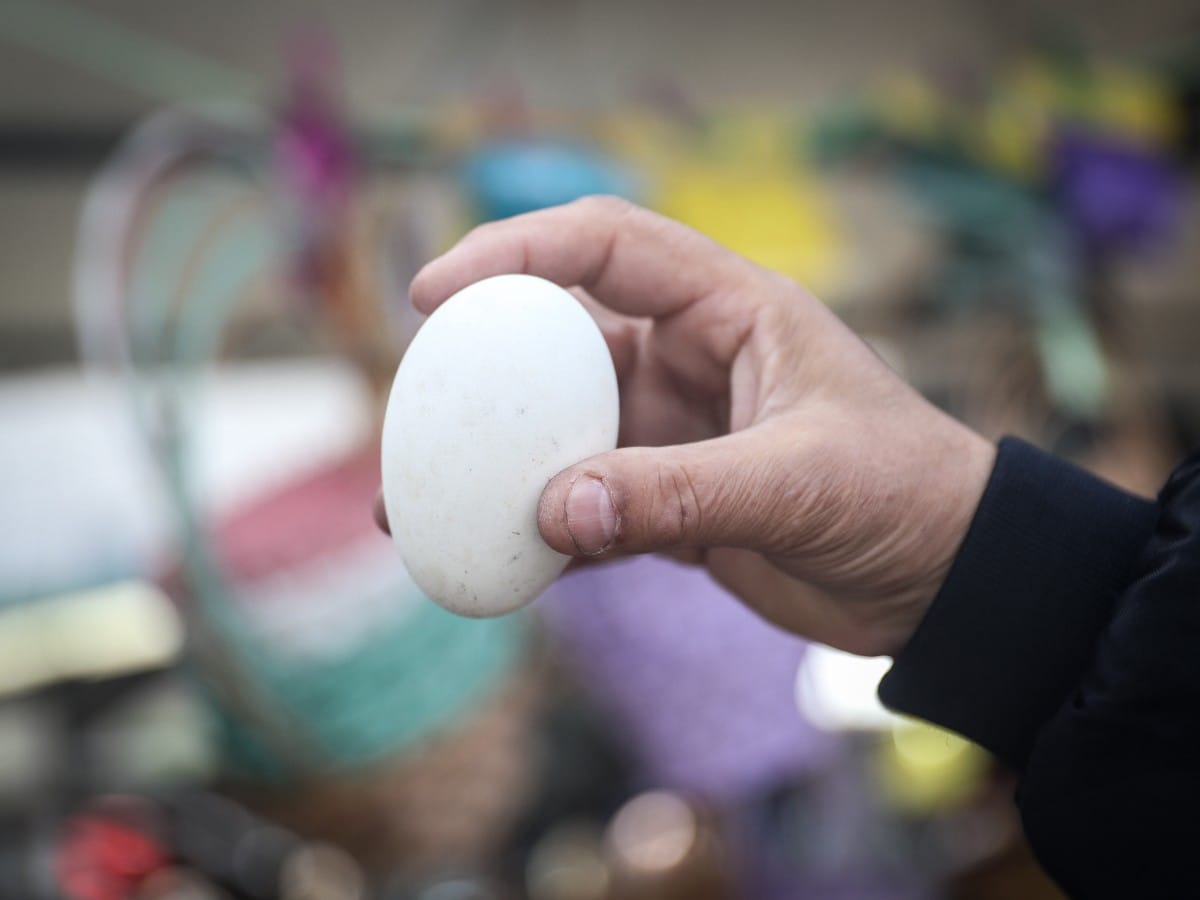 Jaja, Uskrs, Veliki Petak (16).jpeg