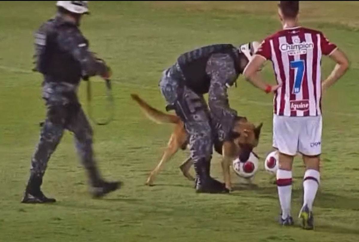 Pas na terenu uzeo loptu (5).jpg