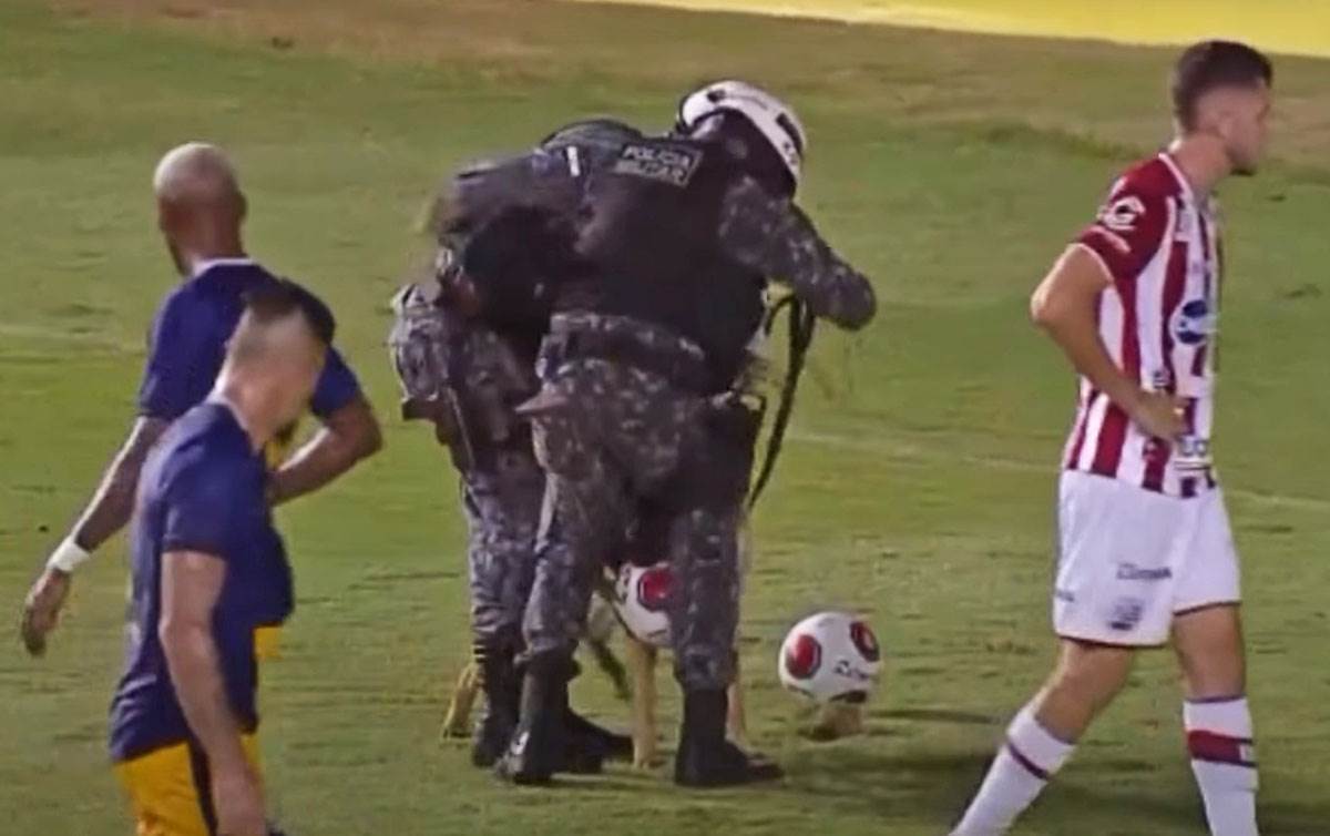 Pas na terenu uzeo loptu (6).jpg