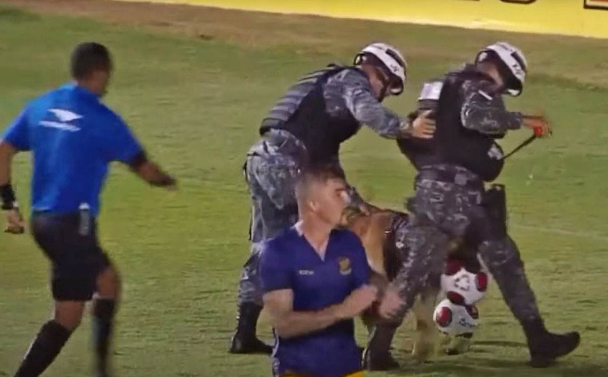 Pas na terenu uzeo loptu (7).jpg