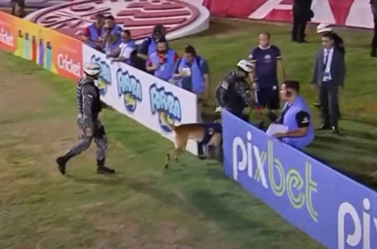 Pas na terenu uzeo loptu (8).jpg