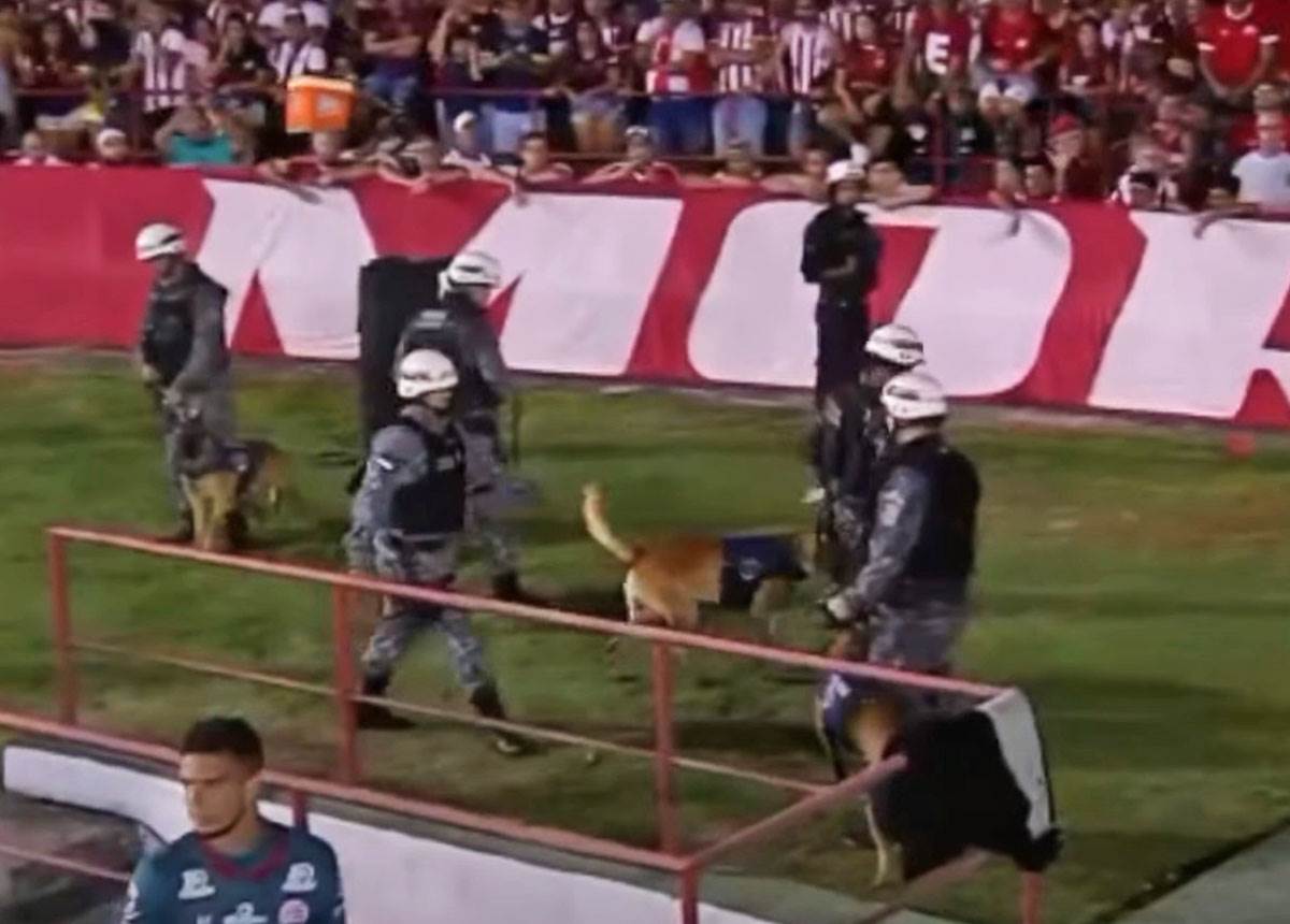 Pas na terenu uzeo loptu (11).jpg