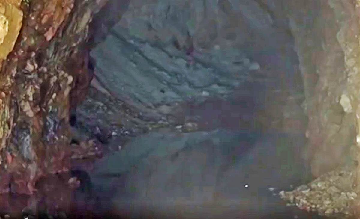 Selo Stava kopanje zlata (7).jpg