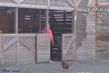 Dejan Dragojević povredio ruku