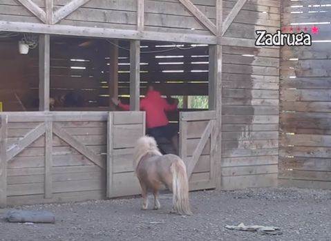 Dejan Dragojević povredio ruku