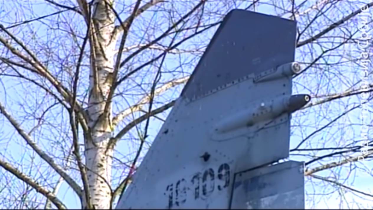 Milenko Pavlović (5).png