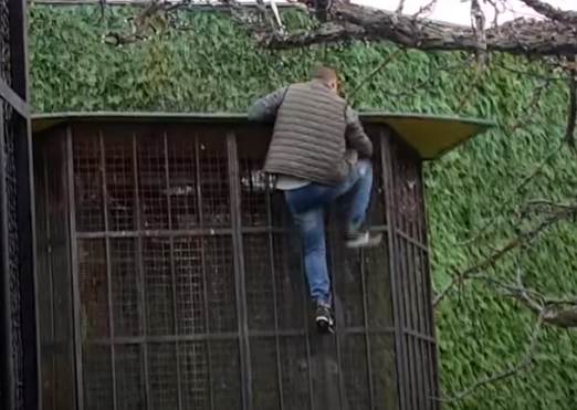 nenad macanović1.png