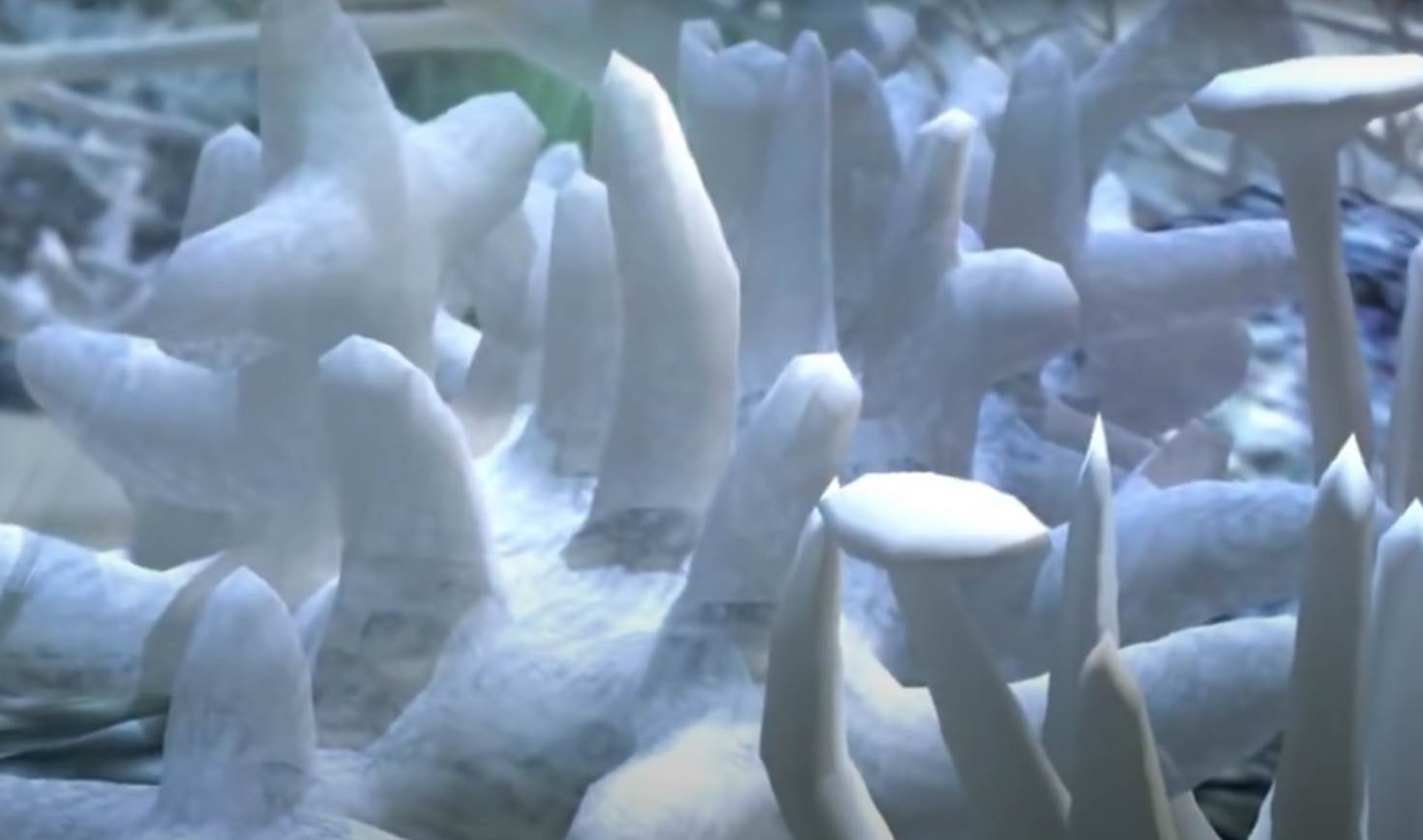 veliki koralni greben (2).png