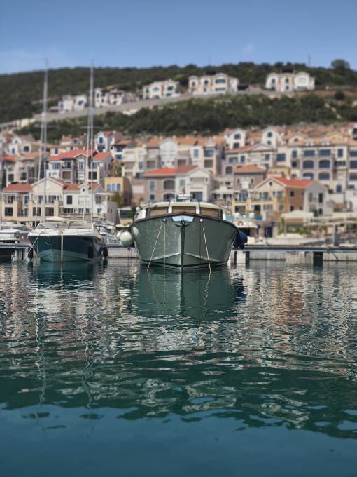 xiaomi 12 lustica (13).jpg