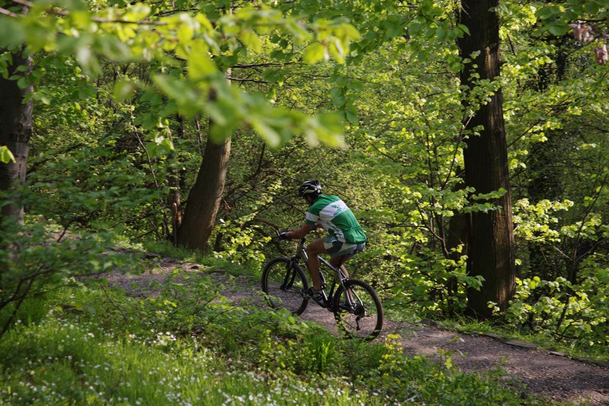 1004 (0940) Beograd, Avala, ljudi, biciklisti, sport, rekreacija - Branko Jovanović.jpg