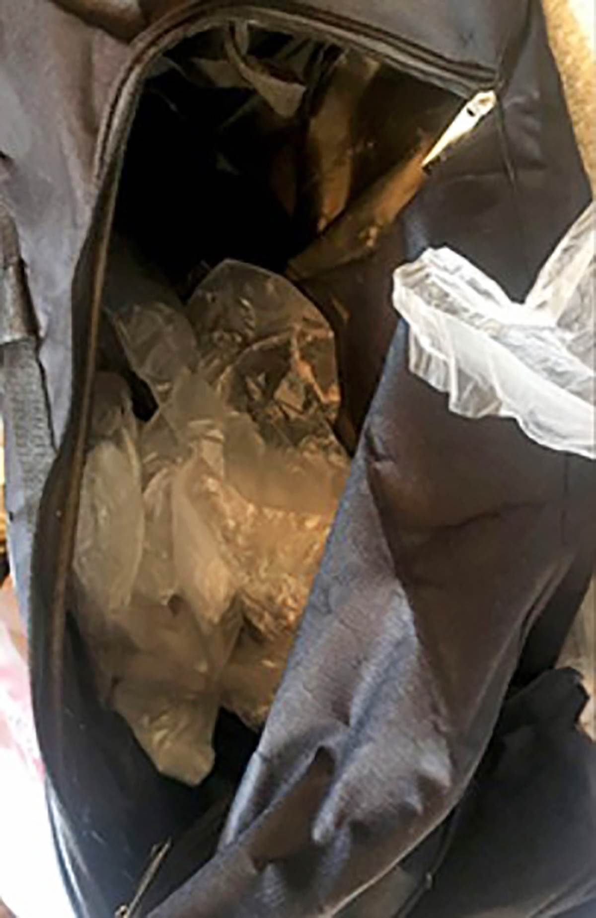 Zvezdara trava (4).jpg