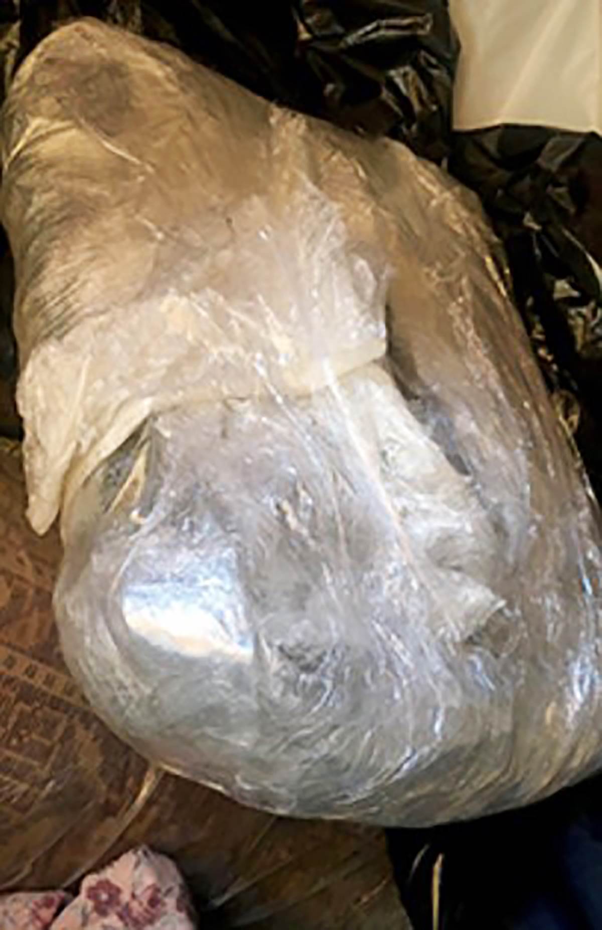 Zvezdara trava (1).jpg