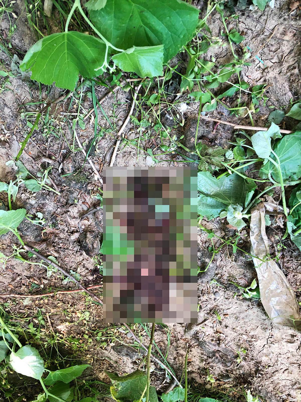 Mirijevo skok zene sa terase sa detetom (6).jpg