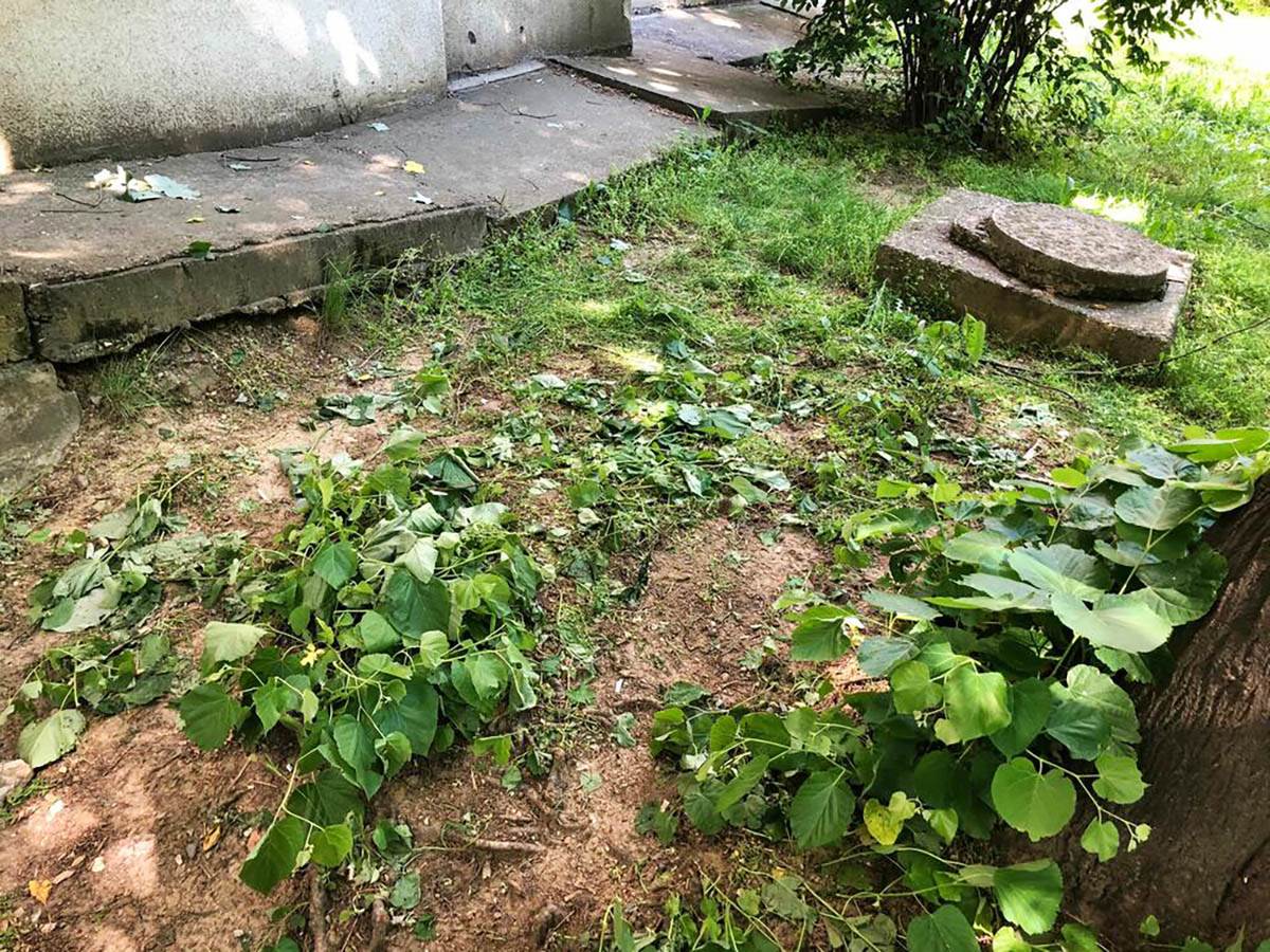 Mirijevo skok zene sa terase sa detetom (7).jpg