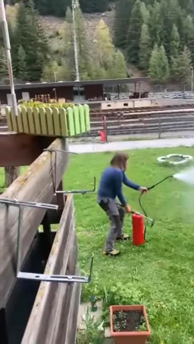 Švajcarac napao Bosanca u dvorištu zbog pečenja jagnjeta 