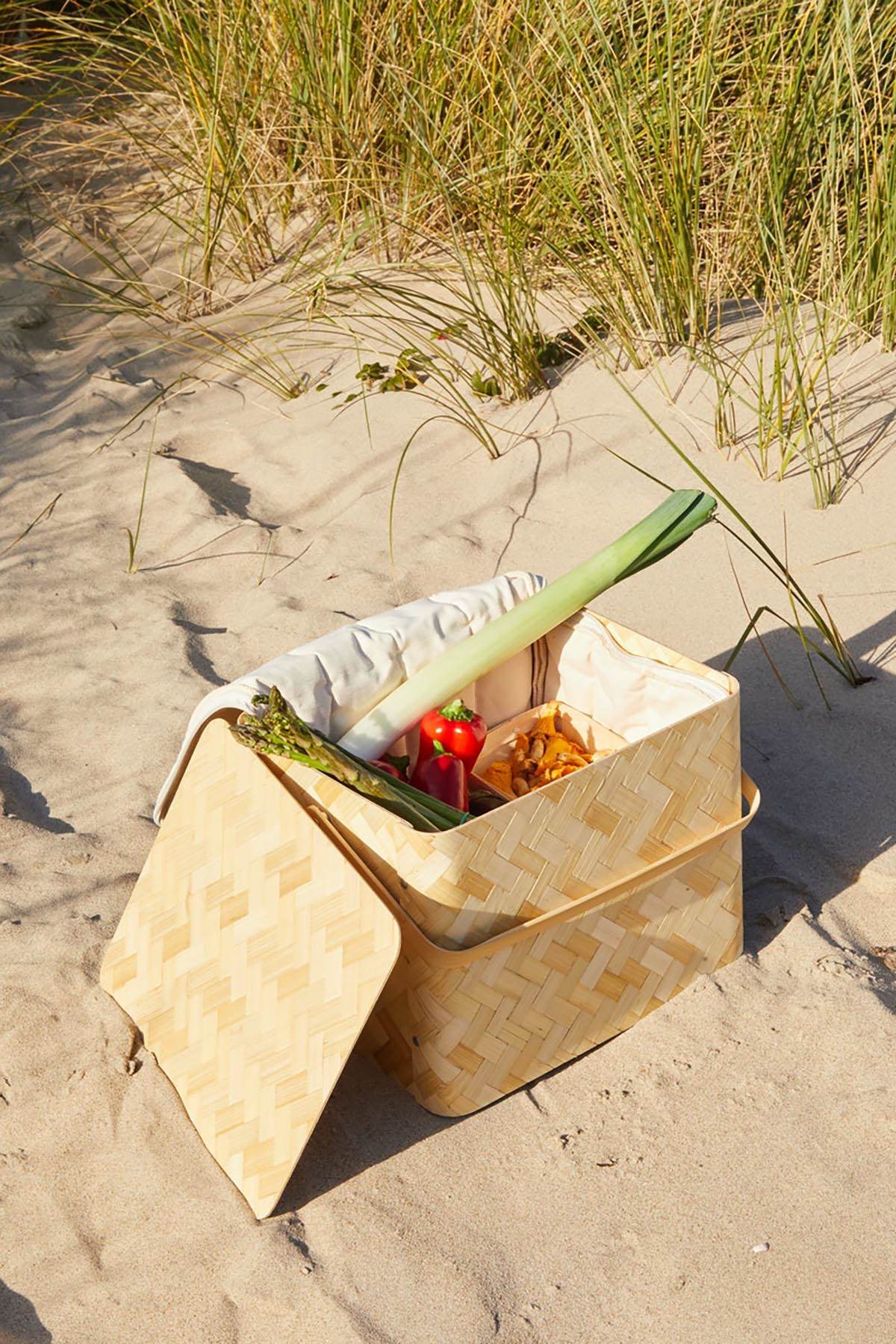 Zagadjenje plastikom, reciklaza, globalni problem (4).jpg