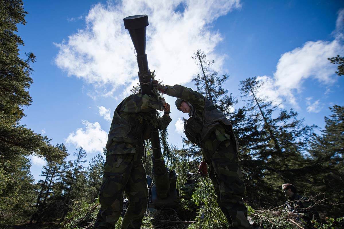 Švedska i Finska armija (3).jpg