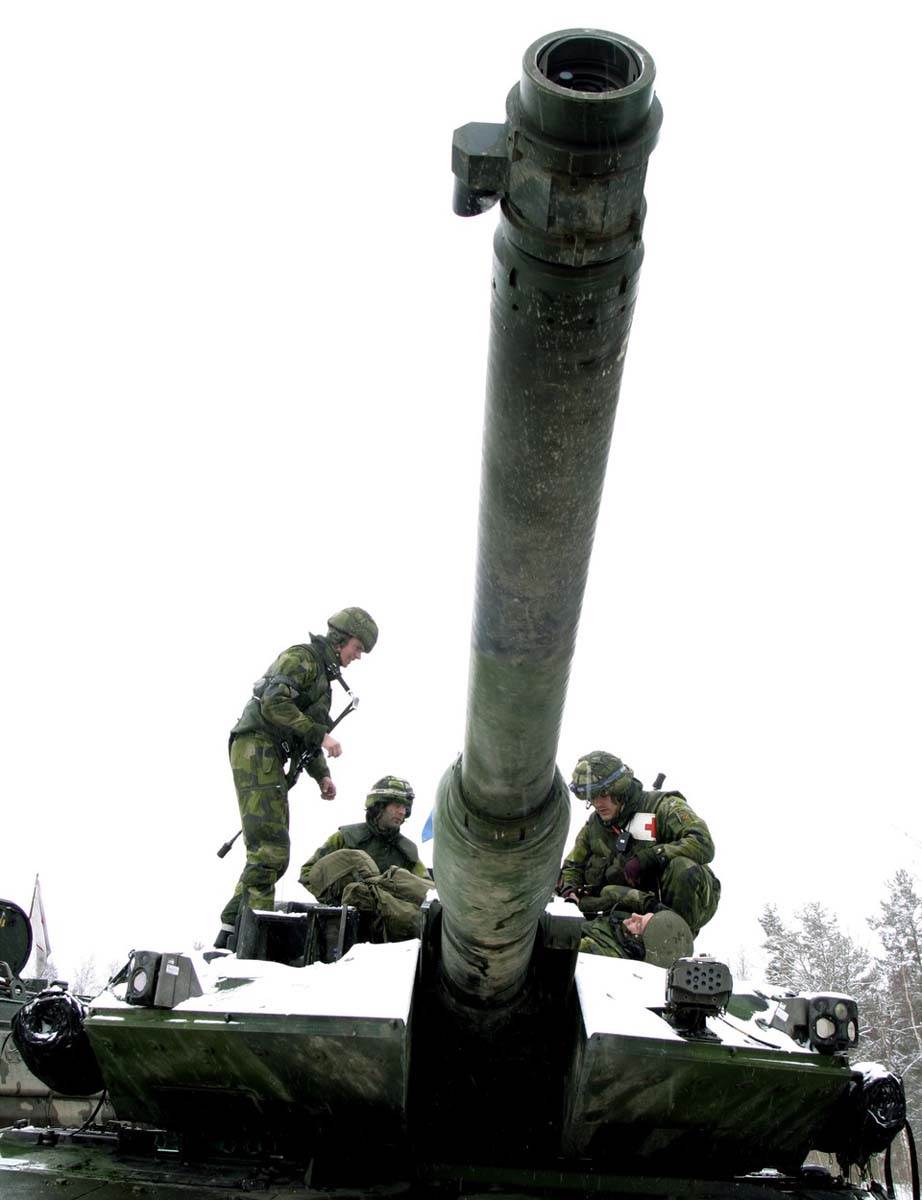 Švedska i Finska armija (5).jpg