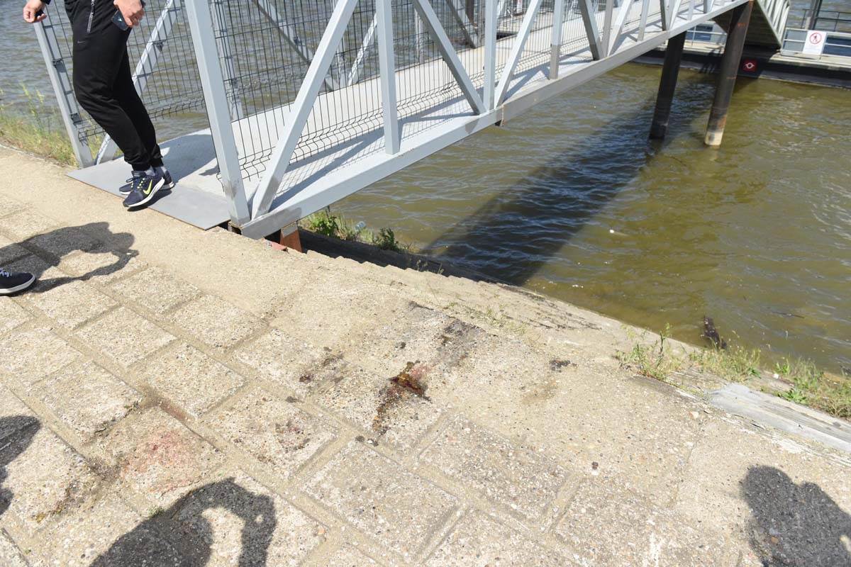 Matej Peris mesto pronadjeno telo  (2).jpg