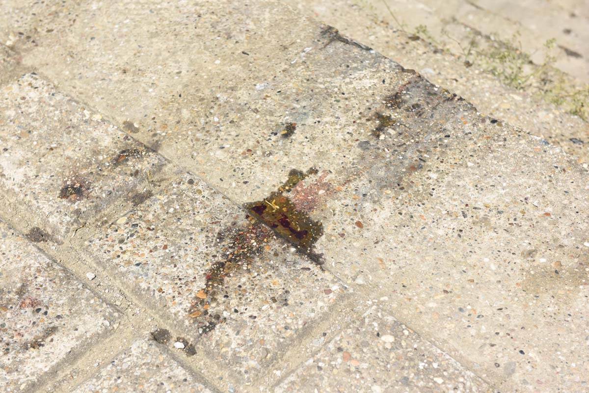 Matej Peris mesto pronadjeno telo  (5).jpg