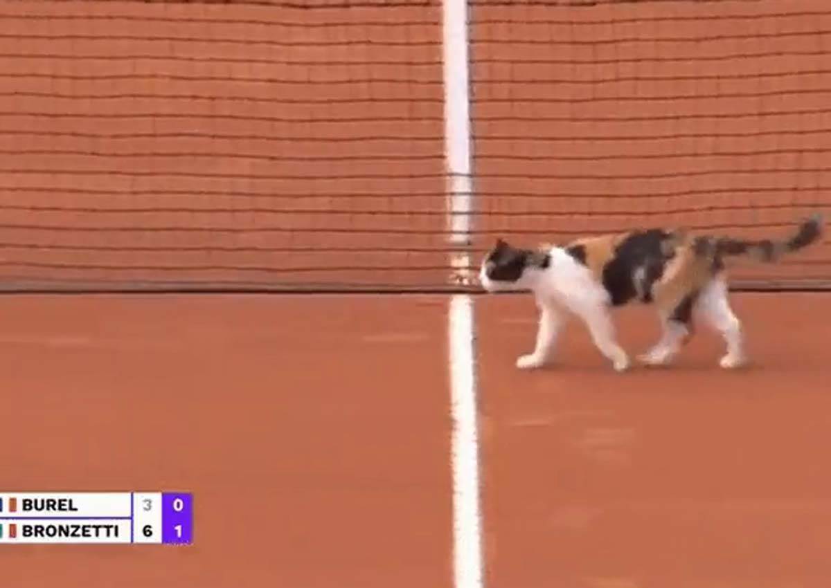 Macka, teniski teren (3).jpg