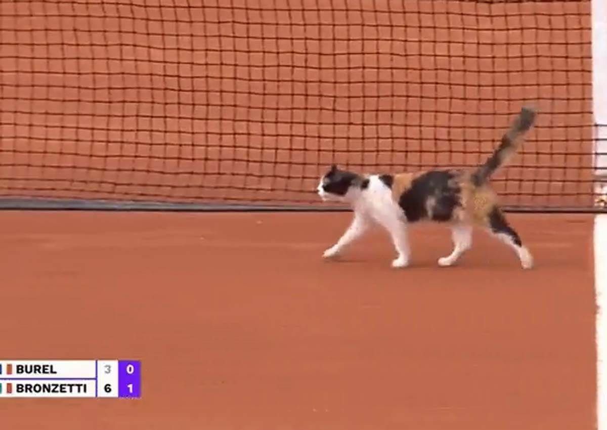 Macka, teniski teren (4).jpg