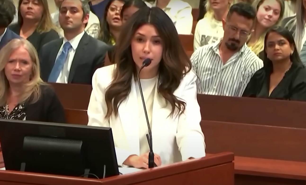 advokatica dzonija depa (3).png